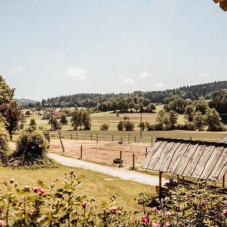 Ferienparadies Schwarzwaelder Hof Apartamento